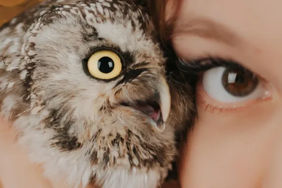 Καζίνο ΜΡ Φορτσουνε Υποστηριξη